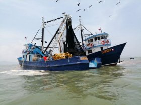 Panamanian Fisheries 